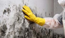 Awaab’s Law: What Landlords Need to Know and How to Prepare