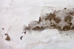 Decarbonising Homes Helps To Solve Damp And Mould Issues