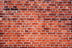 What are the different types of wall insulation and what is right for my property?