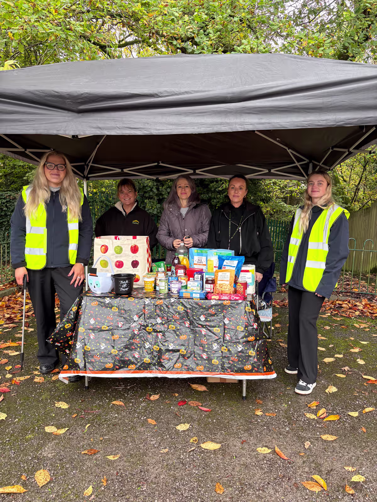Haford: The Big Clean-Up at Heol Ty Maen